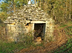 gariotte dans le sud-ouest 